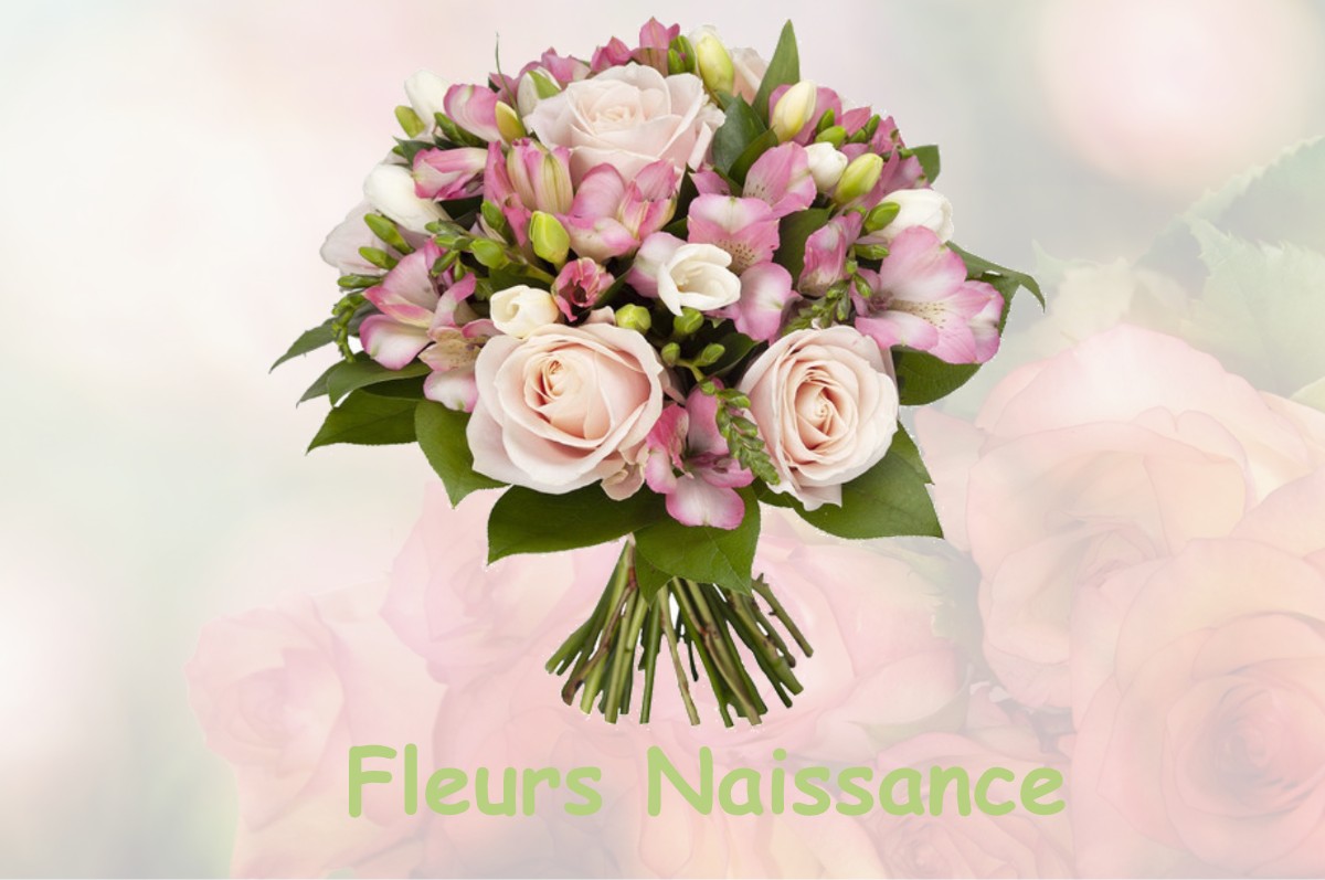 fleurs naissance TILLOY-LEZ-MARCHIENNES